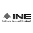 Instituto Federal Electoral